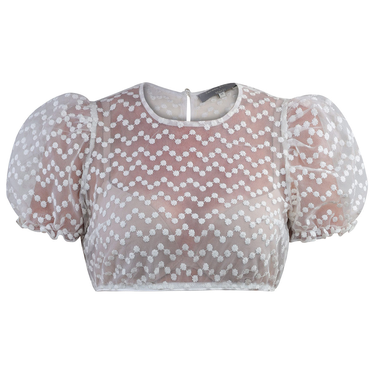 Transparente Dirndlbluse Emie von Teresa Bauer, kurze Puffärmel, weiße Trachtenbluse mit Hochkragen, detailreiche Stickerei.